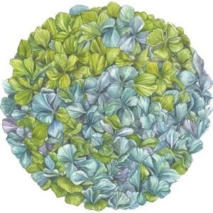 Hester & Cook Die-Cut Hydrangea Placemat 15.6" x 15.8"
Set of 12